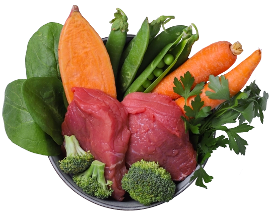benefits of fresh veggies and meat to be cooked in pet food 