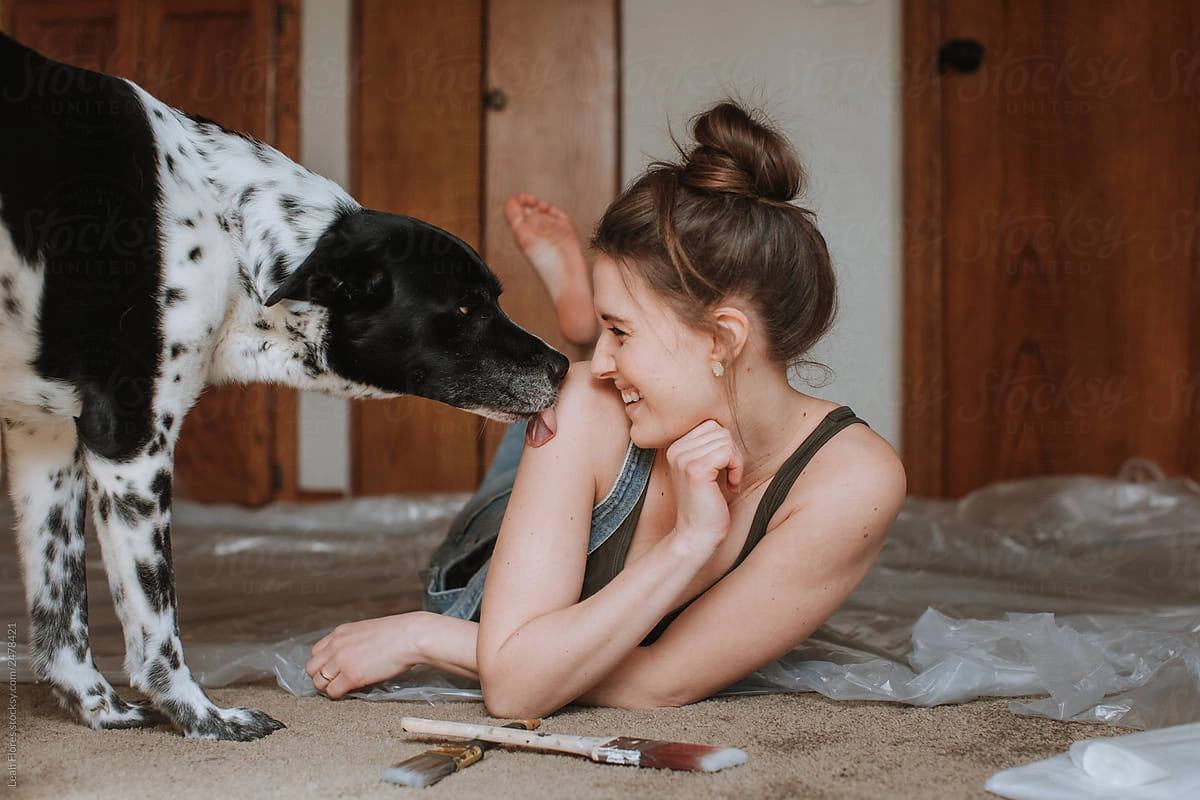 black and white dog licking human and giving kisses