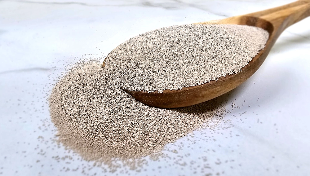 spoon of brewers yeast