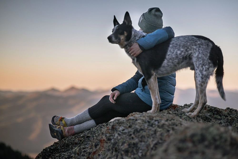 dog and a human watching nature