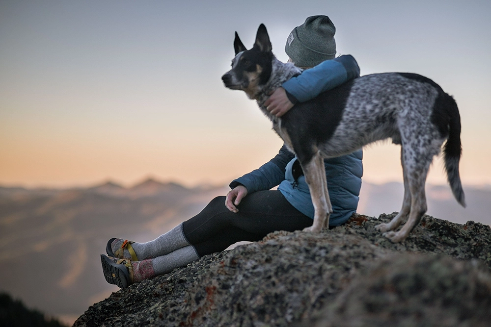Pets and Mental Health: What is the Connection?