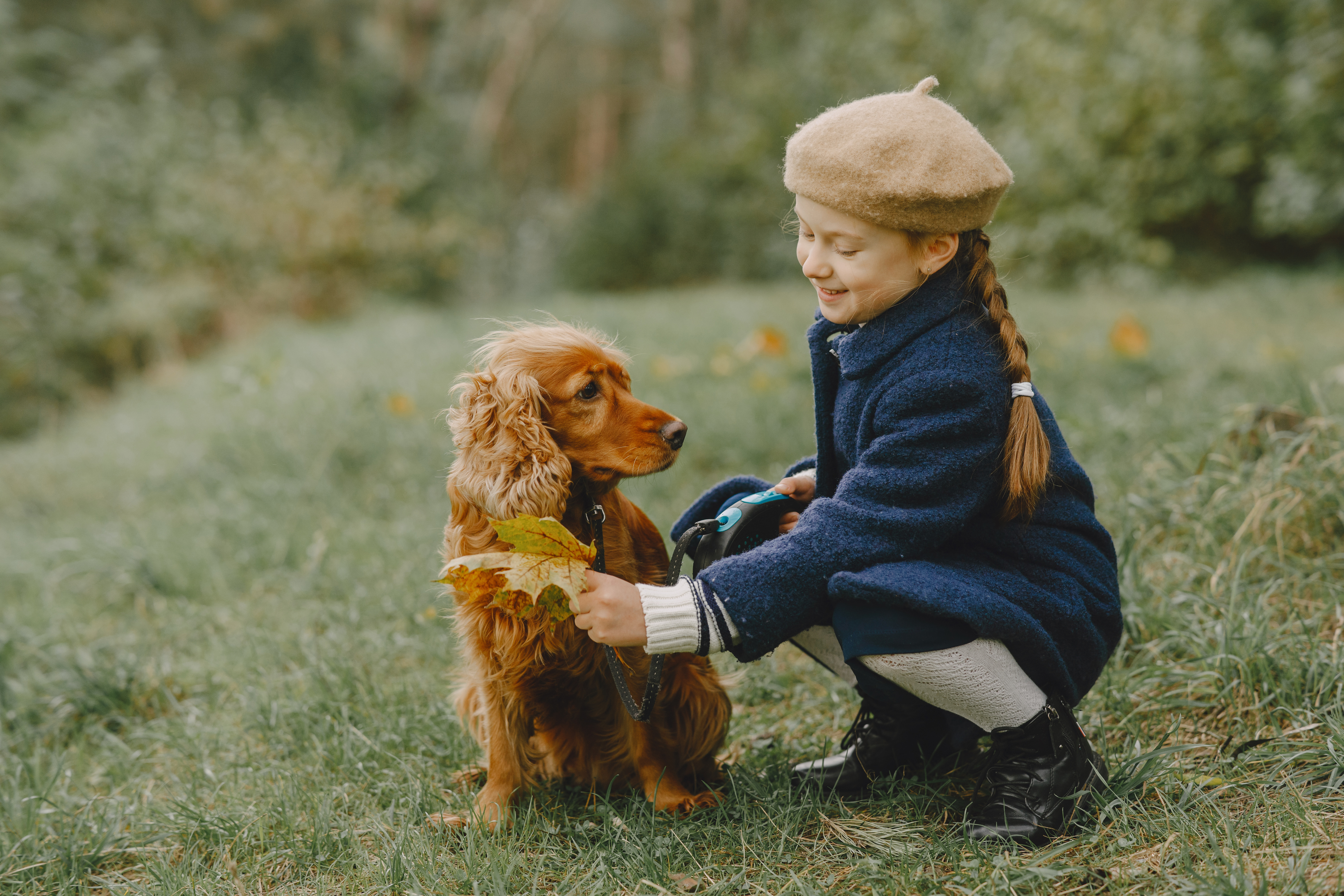 kid playing with a dog in the field
