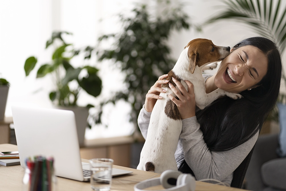 dog licking a human in the office