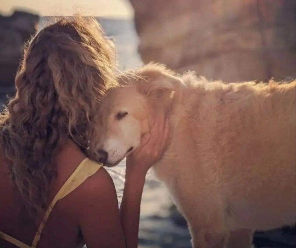 Woman embracing a golden retriever at a beach in Batroun